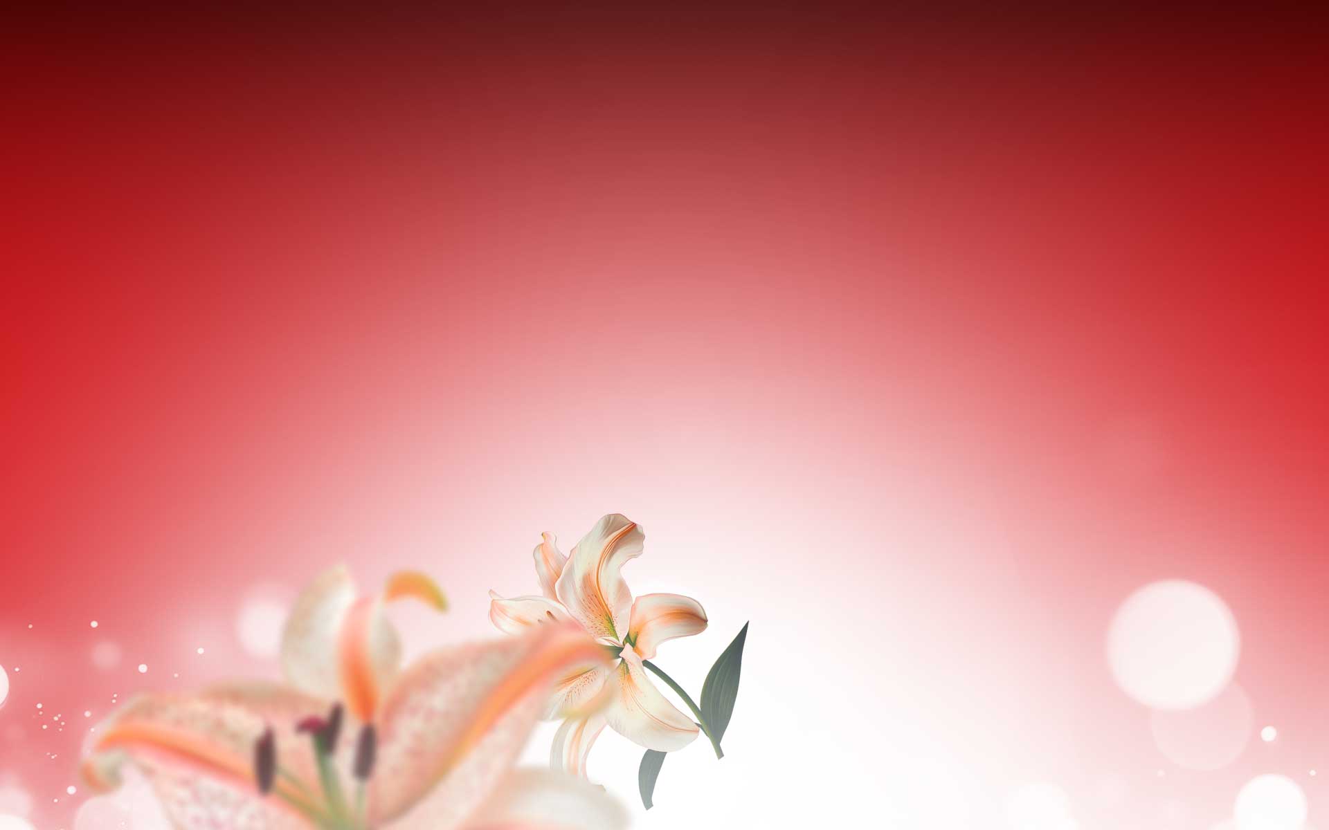 Histolab-website-banner-2